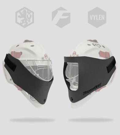 FSENSE VISION MANAGER 1+2